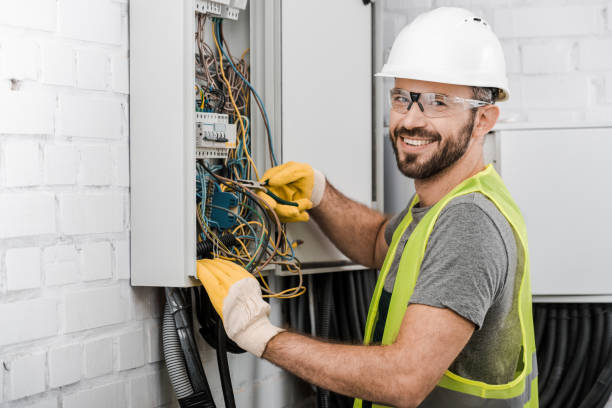 Best 24-Hour Electrician  in Oquawka, IL