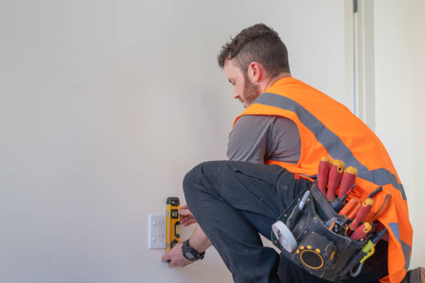 Best Electrical Upgrades for Homes  in Oquawka, IL