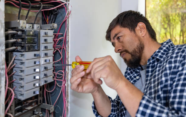 Best Home Electrical Repair  in Oquawka, IL